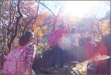 大野山登山 イメージ画像