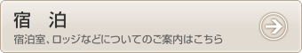 宿泊 - 宿泊室、ロッジなどについてのご案内はこちら